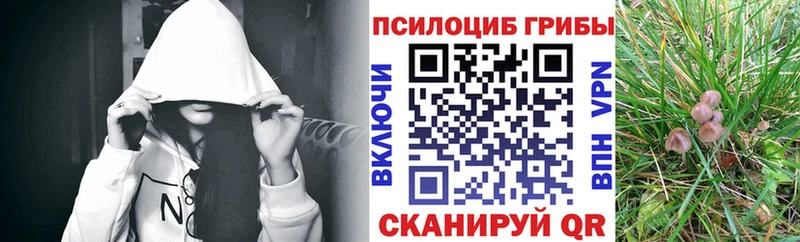 купить наркотики цена  Сосновка  Псилоцибиновые грибы Cubensis 